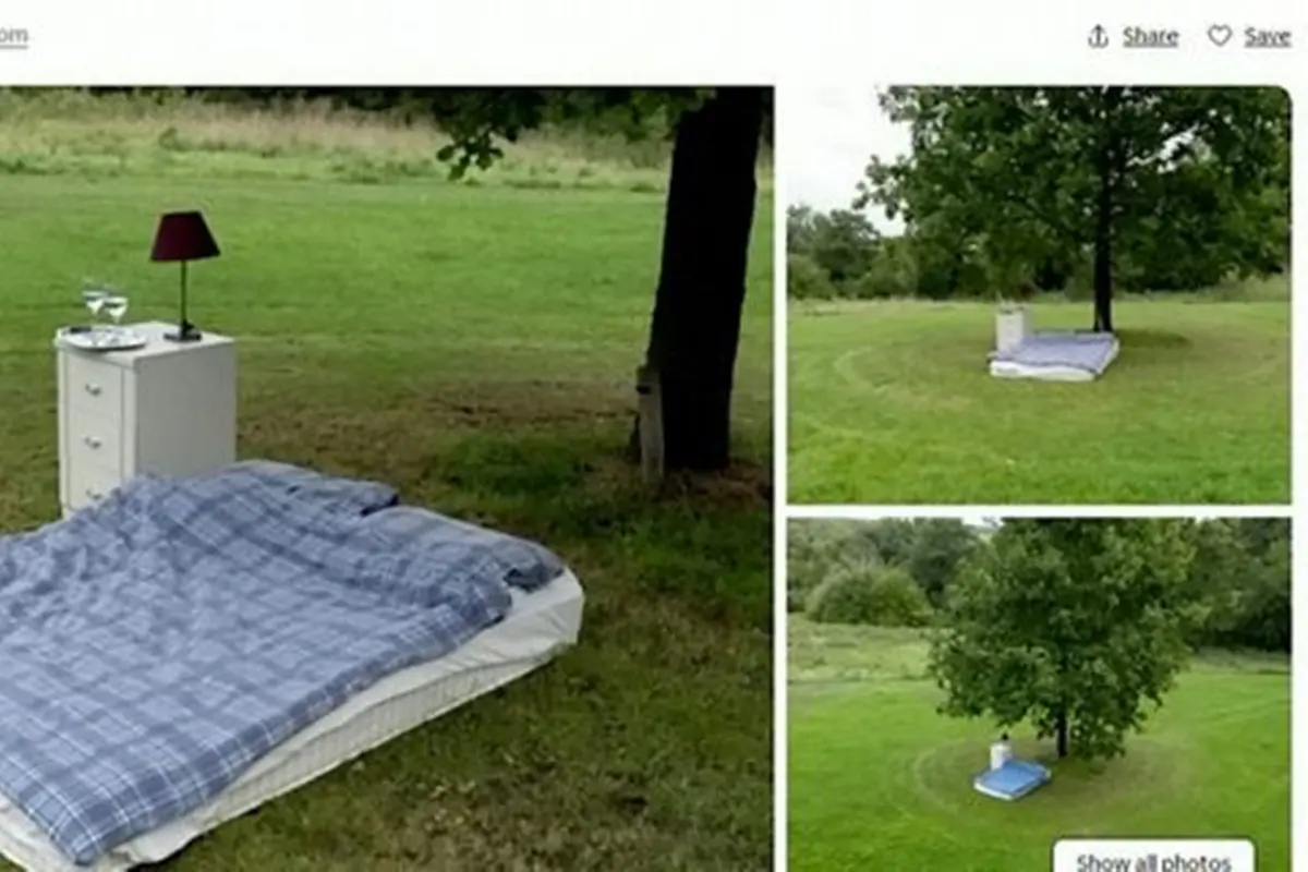 Airbnb