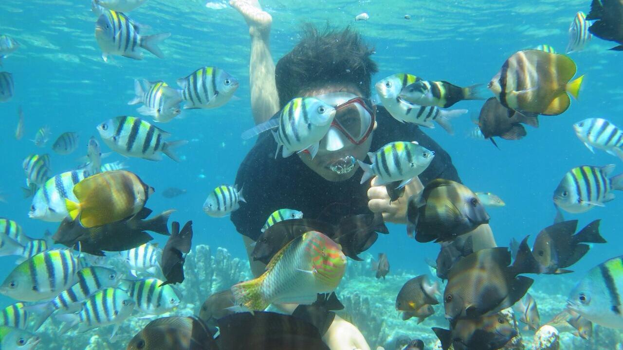 Wisata Pantai Olele di Gorontalo