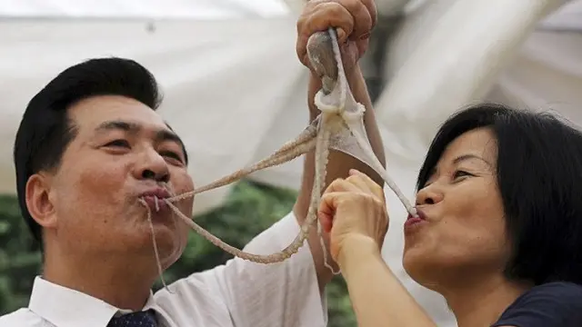 7 Kasus Mengerikan Hewan Masuk dalam Tubuh Manusia