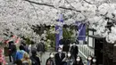 Orang-orang yang memakai masker berjalan-jalan di bawah bunga sakura yang mekar penuh di Kuil Zojoji, Tokyo, Jepang, Selasa (29/3/2022). (AP Photo/Koji Sasahara)