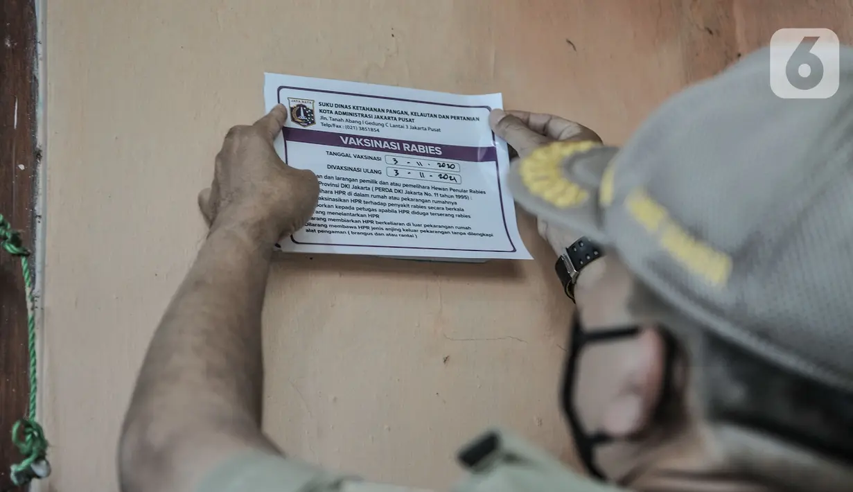 Camat Gambir Fauzi menempelkan stiker tanda bebas rabies di salah satu rumah warga di Gang Kingkit, Kebon Kelapa, Jakarta, Selasa (3/11/2020). Selain di Pos RW setempat, vaksinasi rabies secara gratis dilakukan dengan sistem jemput bola ke rumah warga. (merdeka.com/Iqbal S Nugroho)