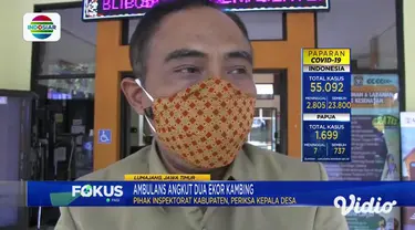 Warga yang mengetahui dipakainya ambulans untuk mengangkut dua ekor kambing langsung mengabadikan lewat kamera handphone mereka. Dalam waktu singkat penyalahgunaan ambulans dari Desa Sukorejo, Kecamatan Kunir, Lumajang ini viral di media sosial.