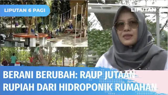 Manfaatkan lahan di sekitar rumah, ibu-ibu di Surabaya ini meraup jutaan rupiah dari hidroponik rumahan. Tak hanya menghasilkan rupiah, hasil panen tersebut juga jadi penolong bagi warga sekitar!