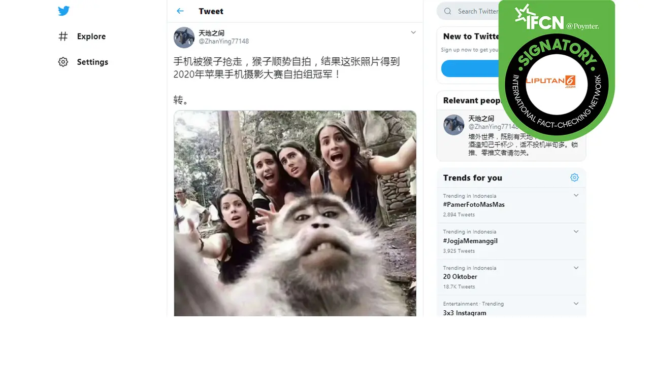 Hoaks foto monyet ikut selfie menang kontes foto.