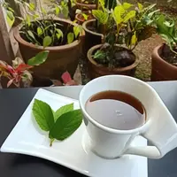 Teh Jahe Daun Kersen (Credit: Cookpad/Isnawati)