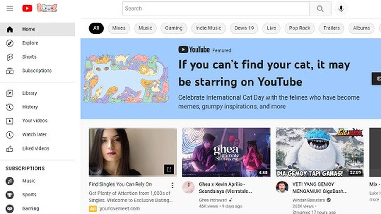 YouTube merayakan Hari Kucing Sedunia 2022 (Screenshot YouTube)