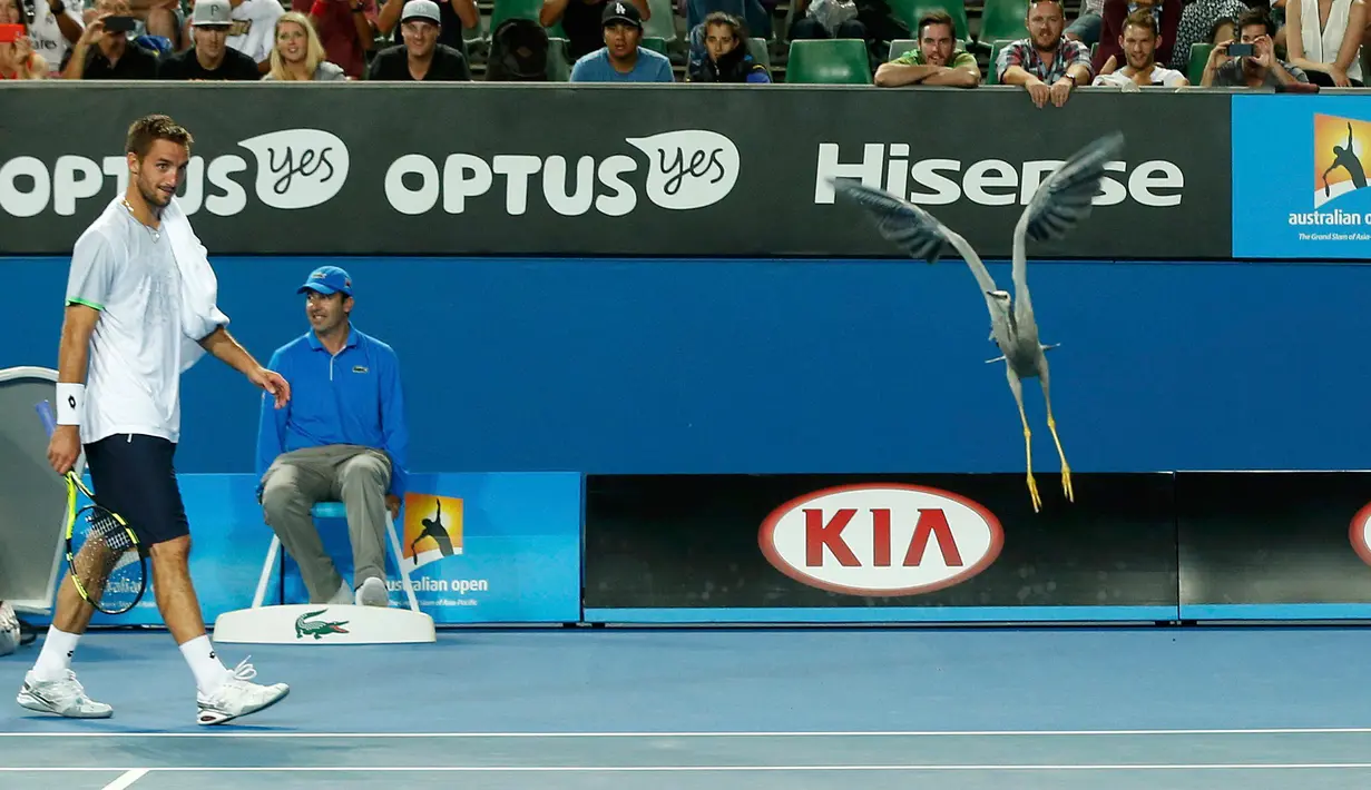 Petenis Serbia Viktor Troicki saat melihat seekor burung yang  mendarat di lapangan tenis ketika berlangsungnya gelaran  turnamen tenis Australia Terbuka di Melbourne Park, Australia, Selasa (19/1). (REUTERS / Tyrone Siu)