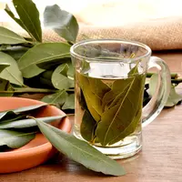 ilustrasi teh daun salam/itaci/Shutterstock