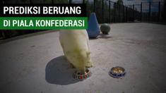 Berita video beruang kutub bernama Nika memprediksi Portugal akan menang atas Selandia Baru dan Cile kalah dari Australia pada laga terakhir grup Piala Konfederasi 2017.