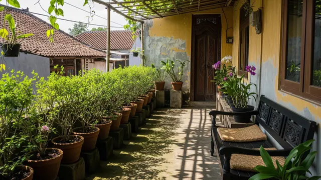 Teras dengan Tanaman Daun Kecil Rimbun, Sejuk di Musim Hujan dan Teduh saat Kemarau Model Lineral dengan Deretan Pot Kecil