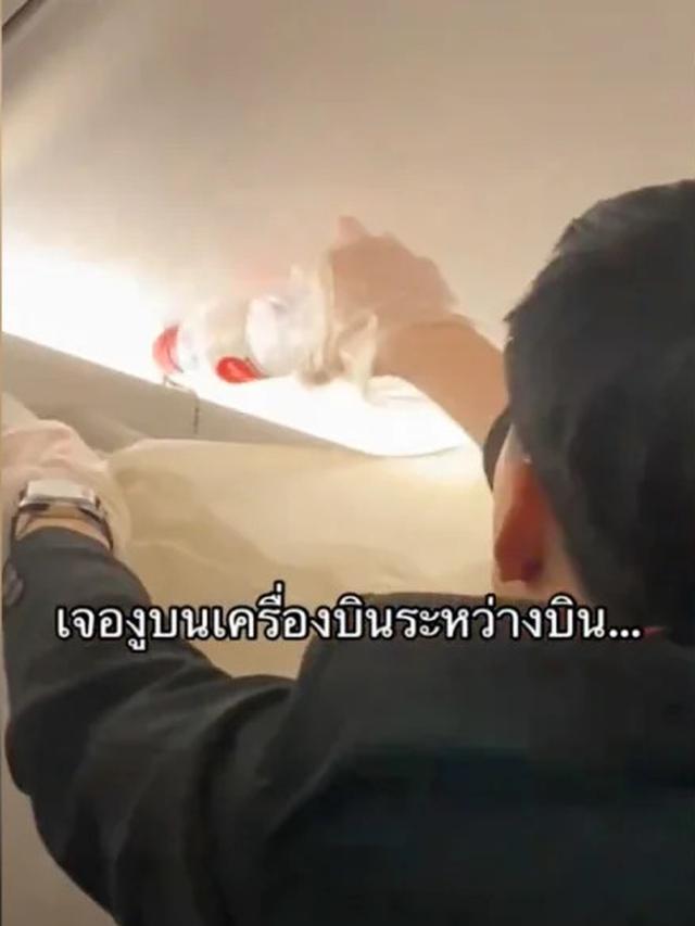 Penerbangan AirAsia dari Bangkok ke Phuket pada 13 Januari 2024 mengalami kejadian mengerikan setelah penumpang melihat seekor ular di dalam pesawat. (@wannabnailssalon/TikTok)