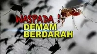 Banjarnegara Darurat DBD