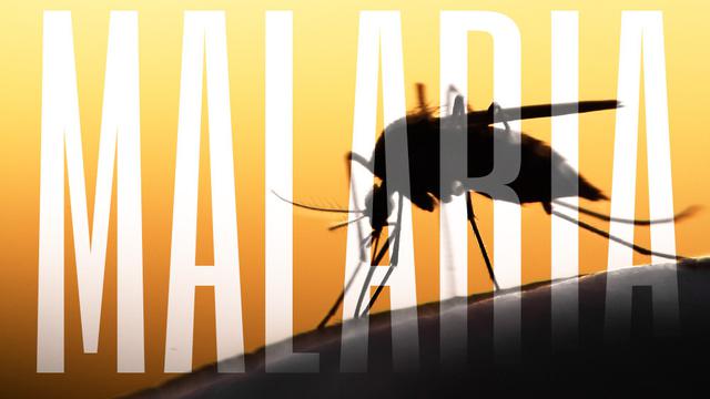 Jangan Percaya 5 Mitos tentang Malaria Ini (Mycteria/Shutterstock)