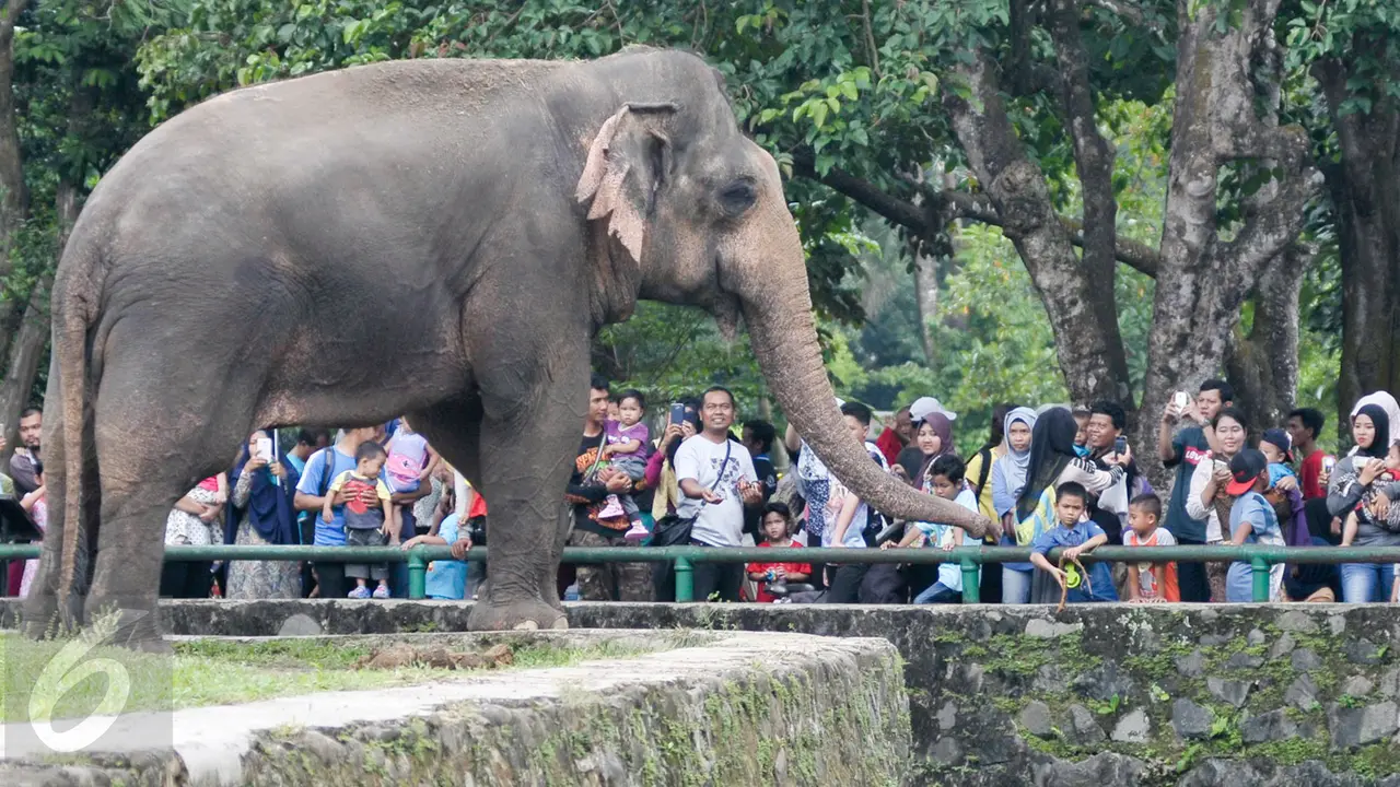 Libur-Isra-Mi'raj-di-Ragunan