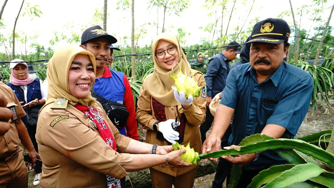 Pemkab Banyuwangi