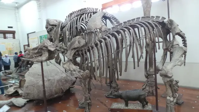 Museum Geologi Bandung