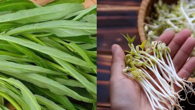 Cara Mudah Membuat Kangkung dan Tauge Tetap Segar, Dijamin Anti Gagal