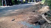 Lokasi kecelakaan maut Batang (Liputan6.com / Fajar Eko Nugroho)