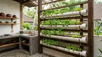 7 Ide Kebun Sayur Vertikal dari Paralon Bekas di Dapur Terbuka, Hemat Tempat dan Mudah Dibuat