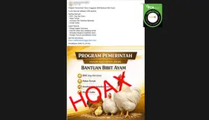 Cek Fakta: Hoaks Tautan Pendaftaran Bantuan Bibit Ayam dari Pemerintah 2026
