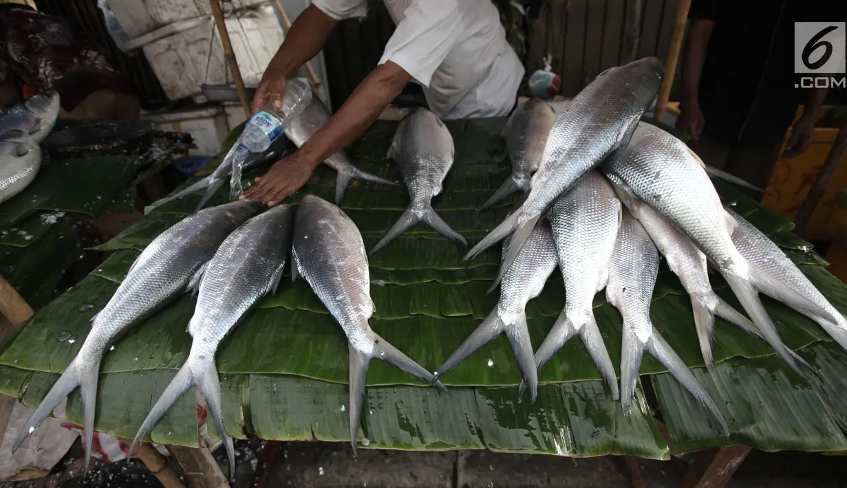 Pedagang menyirami ikan bandeng dagangnnya di kawasan Rawa Belong, Jakarta, Rabu (14/2). Pedagang mengaku permintaan ikan bandeng meningkat jelang Tahun Baru Imlek. (Liputan6.com/Arya Manggala)