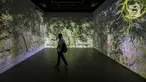 Pengunjung melihat karya proyeksi video mapping di pameran imersif Affandi: Alam, Ruang, Manusia di Galeri Nasional Indonesia, Jakarta, Rabu (28/10/2020). Pengunjung yang melihat pameran harus melakukan protokol kesehatan dan dibatasi hanya 20 penonton per sesi kunjungan. (Liputan6.com/Johan Tallo)