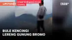 Bule Kencingi Lereng Gunung Bromo