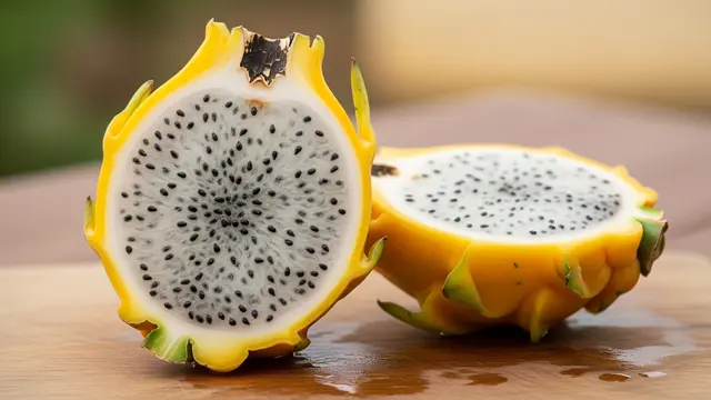 Kiat Sukses Budidaya Buah Naga Kuning agar Tumbuh Subur dan Berbuah Manis
