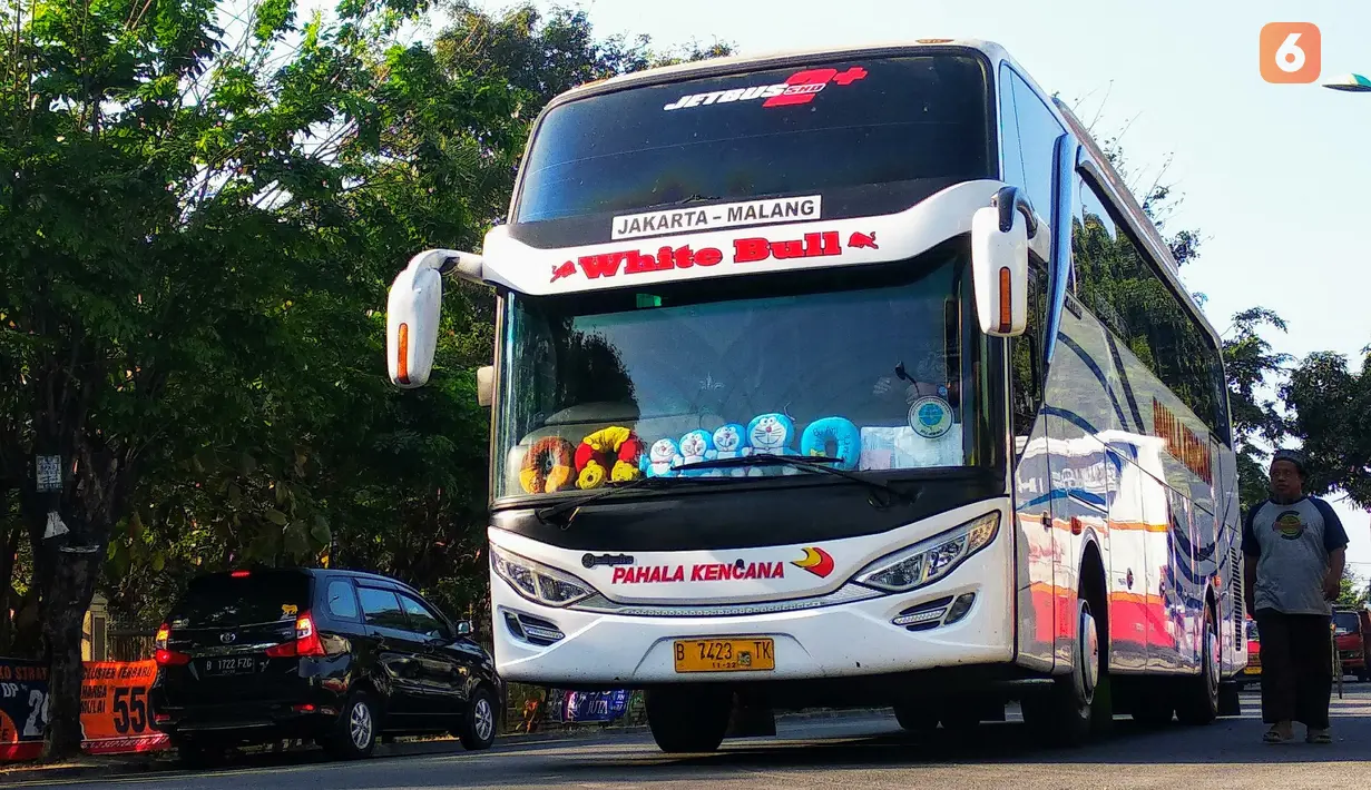 Pengembangan berikutnya adalah Jetbus 2+ dengan jenis double glass. Bus ini tersedia dalam varian High Deck Double Glass (HDD) dengan tinggi sekitar 3.7 meter, dan Super High Deck (SHD) yang memiliki tinggi hampir 3.9 meter. Bus dengan kaca depan ini ini mengawali tren bus Double Glass di Indonesia.