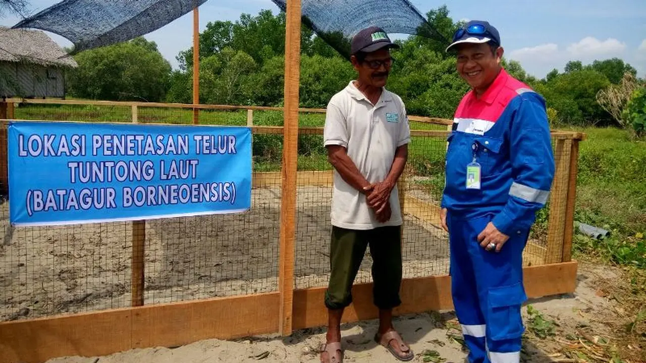 Pelestarian Tuntong Laut, Bentuk Kepedulian Pertamina pada Alam