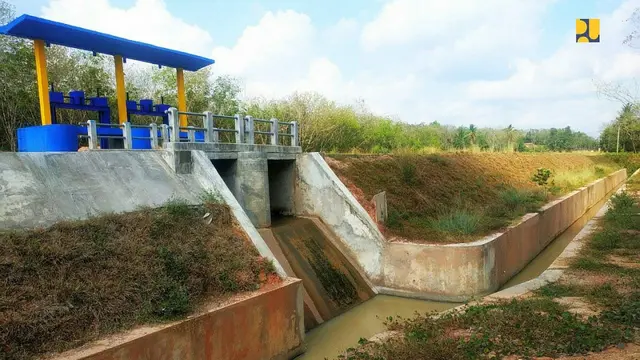 Pada 2016-2019, Kementerian PUPR telah pembangunan Jaringan Irigasi Utama Bahuga Daerah Irigasi Komering bagian hilir di Kabupaten OKU Timur dengan luas 6.853 ha.