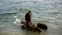 Seekor monyet makan di atas batu pantai Cayo Santiago, yang dikenal sebagai Pulau Monyet, di Puerto Rico, 4 Oktober 2017. Setelah puluhan tahun berada di tempat tersebut, populasi monyet di Cayo Santiago meningkat menjadi ribuan. (AP/Ramon Espinosa)