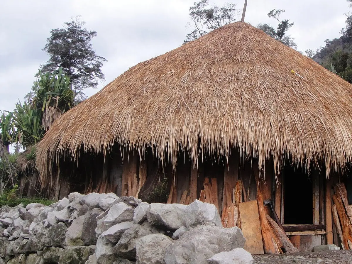 Rumah Adat Papua adalah Salah Satu Hasil Budaya, Berikut Jenis-jenisnya - Hot Liputan6.com