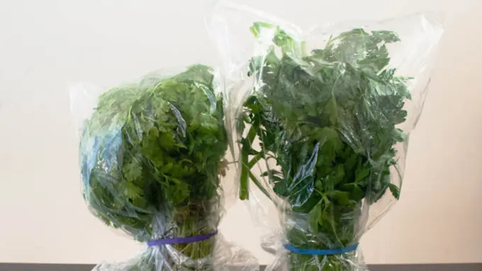 9 Tips Keren Agar Makanan Tetap Segar Ketika Disimpan