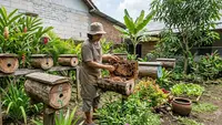 Ternak Lebah Kelulut untuk Pekarangan Rumah, Trik Panen Madu Melimpah