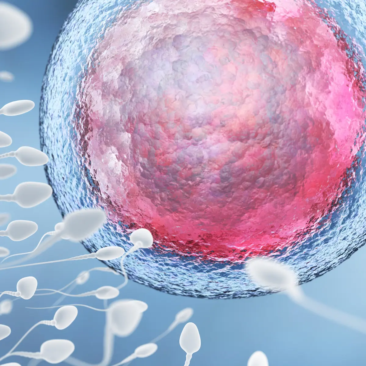 Sperma Banyak yang Tumpah, Apa Memperkecil Kemungkinan Hamil? - Health  Liputan6.com
