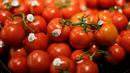 Tomat memiliki manfaat dalam menjaga kulit agar tetap awet muda. Selain mengandung Vitamin C, tomat juga mengandung likopen yang dapat bertindak dalam melindungi kulit agar tidak terjadi kerusakan akibat sinar matahari. (Gary Cameron/Reuters)
