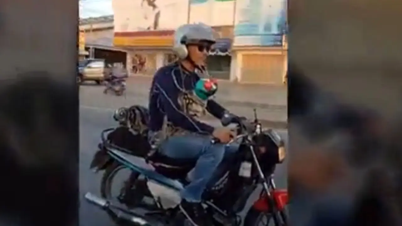 Heboh Kucing Naik Motor pake helm
