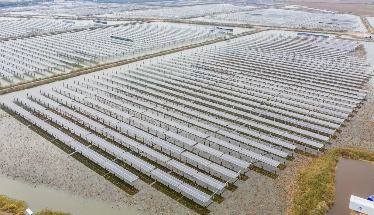 Foto udara menunjukkan panel-panel surya fotovoltaik di Wilayah Baoying, China (5/11/2020). Wilayah Baoying berupaya mengembangkan agrikultur ekologis melalui penggabungan budidaya ikan dengan pembangkit listrik tenaga surya, sebagai cara mendorong revitalisasi kawasan perdesaan. (Xinhua/Li Bo)