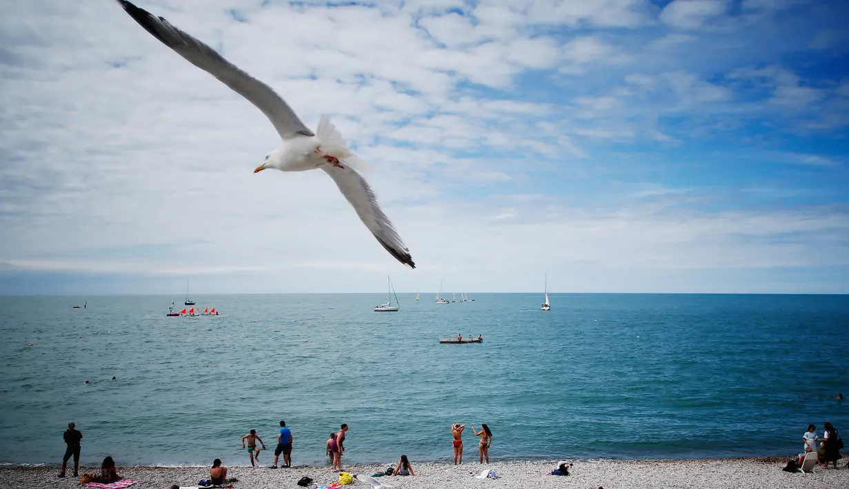 Seekor burung camar terbang di atas para pengunjung pantai di Etretat, Prancis barat laut (17/7). Kota ini merupakan kota wisata dan pertanian yang terletak sejauh 32 km (20 mi) dari Le Havre. (AFP Photo/Charly Triballeau)
