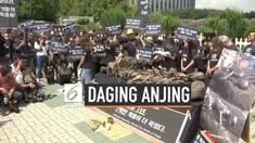 Aktris Hollywood, Kim Basinger, turut serta dalam demo menolak konsumsi daging anjing di Seoul, Korea Selatan. Mereka menuntut pemerintah keluarkan undang-undang tolak pembantaian. Aksi demo mereka dibalas oleh para warga pengonsumsi daging anjing.