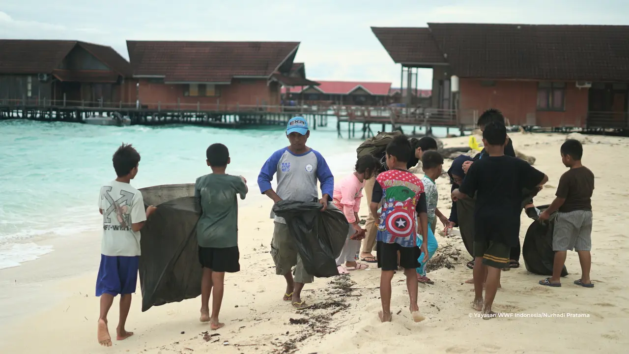 Pulau Derawan