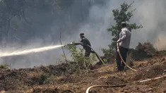 Anggota tim pemadam kebakaran berusaha memadamkan kobaran api di hutan di bagian utara provinsi Latakia Suriah pada 29 Juli 2023, saat kebakaran hutan yang terjadi di tengah suhu yang melonjak beberapa hari lalu terus melanda daerah tersebut. (LOUAI BESHARA / AFP)