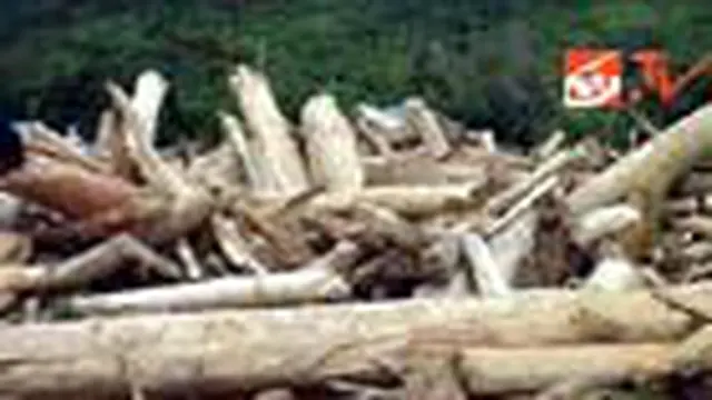 Banjir di Wasior Bukan Sekadar Fenomena Alam