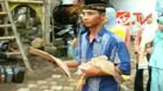 Sekolah berkualitas tetapi tidak mahal, tentu menjadi impian semua orang. Di Banyuwangi, Jawa Timur, sebuah sekolah mewajibkan para siswa membayar uang sekolah dengan sayur mayur, buah-buahan atau hewan ternak. 