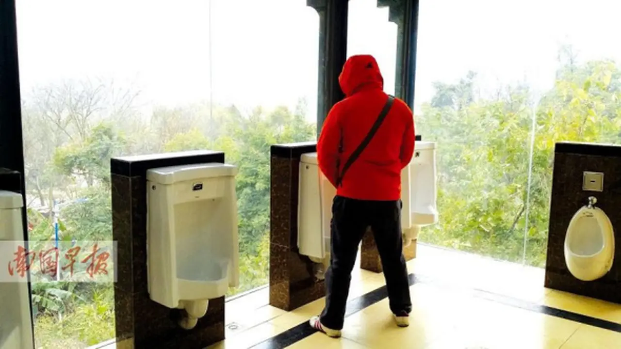Pria Bisa Pipis Lihat Pemandangan Indah di Toilet Transparan 
