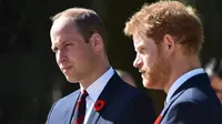 Pangeran William dan Pangeran Harry (AP Files)