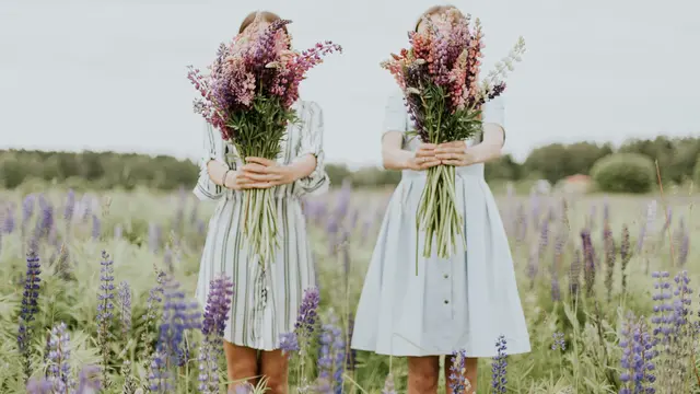 Behind Closed Doors menceritakan saudara perempuan Grace bernama Millie