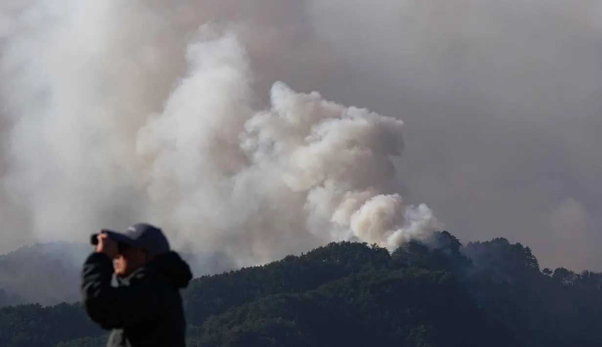 Kebakaran hutan yang terjadi sejak Rabu 22 April 2026, menghanguskan lebih dari 1.100 hektar lahan dan memaksa ribuan warga mengungsi. Tampak dalam foto, seorang pria menggunakan teropong untuk melihat berbagai bagian kebakaran yang terjadi di sekitar kota Otsuchi, Prefektur Iwate, Jepang pada Sabtu 25 April 2026. (ANDREW CABALLERO-REYNOLDS/AFP)
