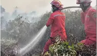 Tim Satgas Ungkap Kendala Padamkan Kebakaran Hutan di Jambi